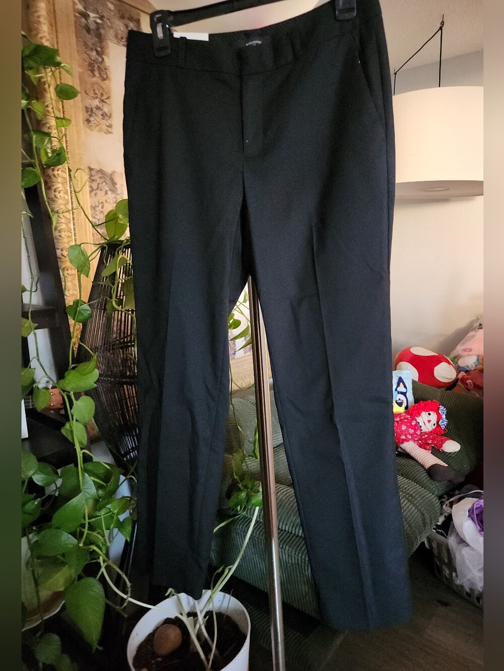 Banana Republic Ryan Straight Leg Women's Pants , Petite 6